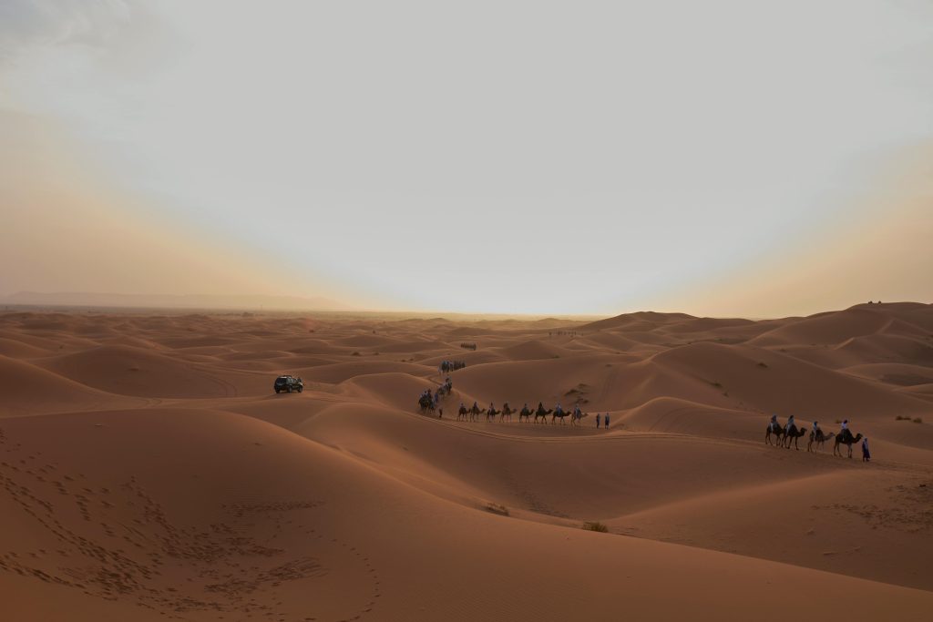 Carovana di cammelli in Marocco nel deserto del Sahara
