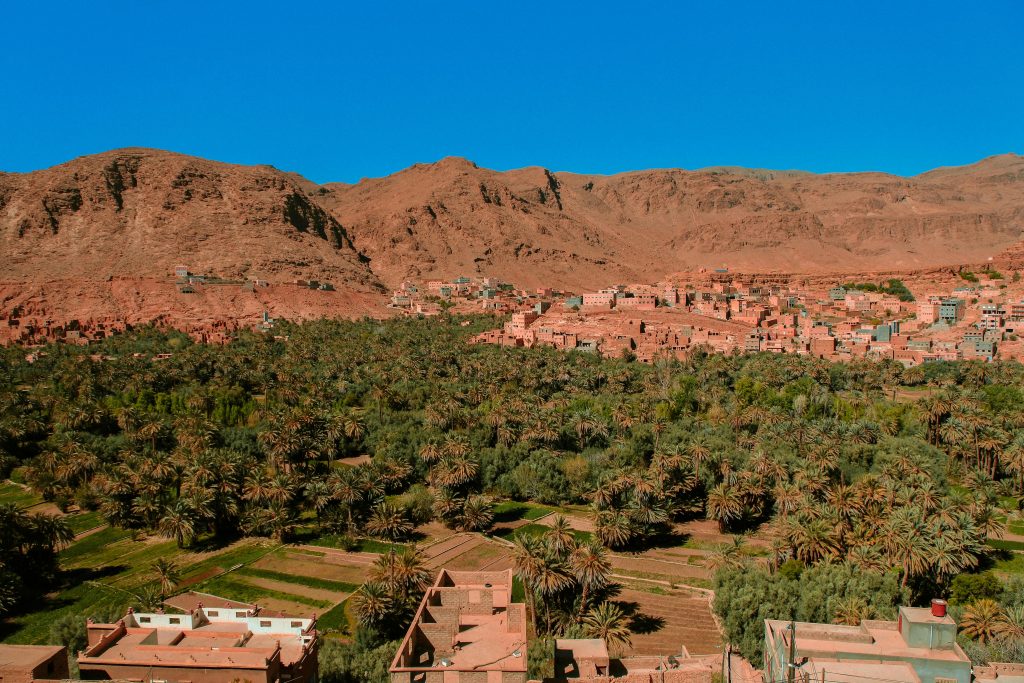 Oasi nel deserto del Sahara in Marocco